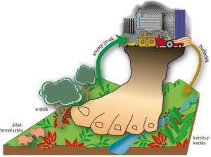 őkológiai lábnyom