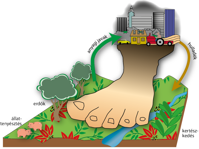 őkológiai lábnyom